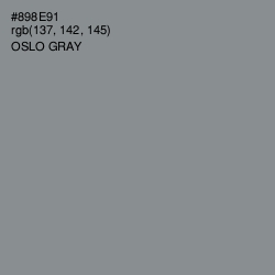 #898E91 - Oslo Gray Color Image